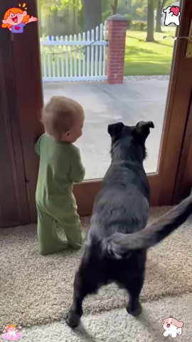 Dog and baby are best friends ❤️#dog #pet #baby #Love #cute      