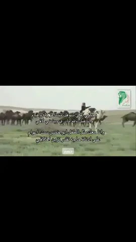 #يجيني_على_شوفك_مشاعر_وله_وهيام #قص #قصيد #ابل 