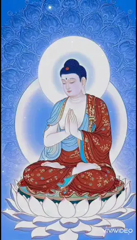 #VivaVideo #hinhphat #xuhuong #2025 