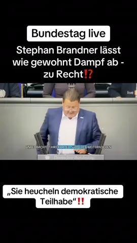 #Afd #Bundestag #Demokratie #fyp #viral_video_tiktok 