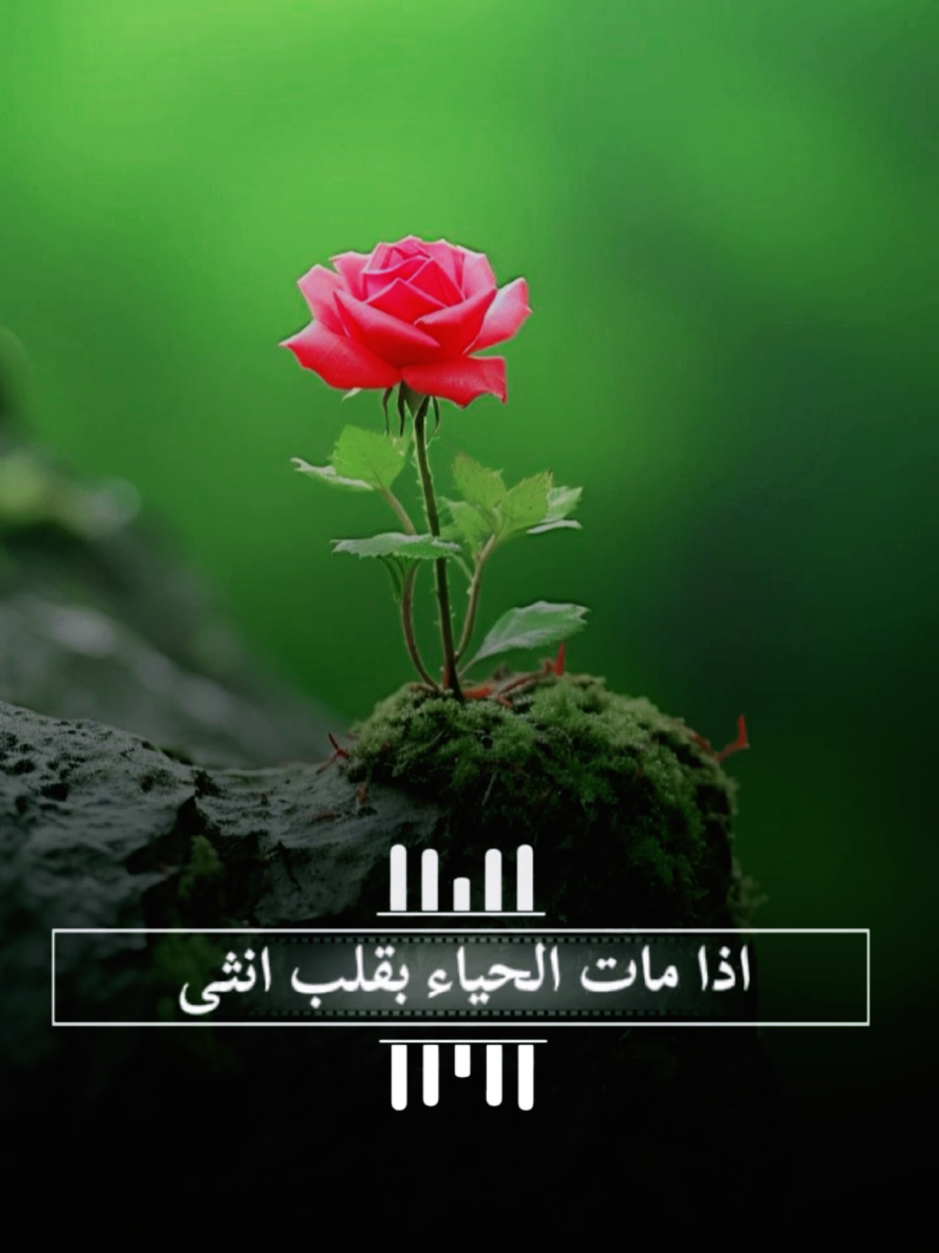 الحياء #حياء #عفة #شعر #شعراء #قصايد 