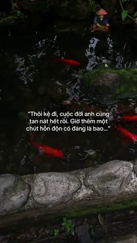 …#tamtrang #story 