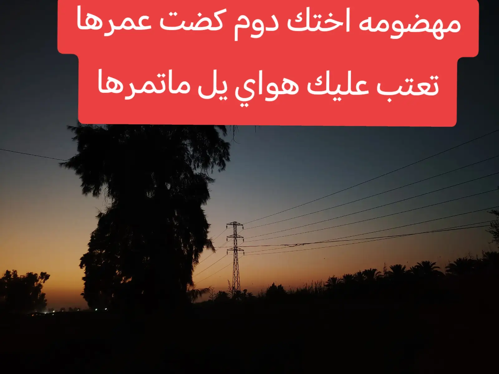 #شعراء_وذواقين_الشعر_الشعبي #تصويري# #الاخت #حنينه #الشعب_الصيني_ماله_حل @فانز منتصر البصراوي 🎤 @يتيمه 💔 @العسكري🇮🇶 