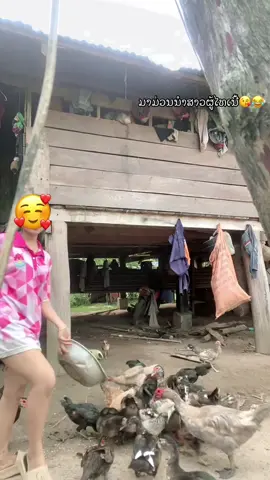 #ສາວຜູ້ໄທ😘💗🇱🇦 #ມັກມ່ວນຊື່ໆເດີ😆😆😆 #ຝາກກົດໃຈກົດຕິດຕາມແນ່ເດີ້ທຸກຄົນ🙏🙏🙏 
