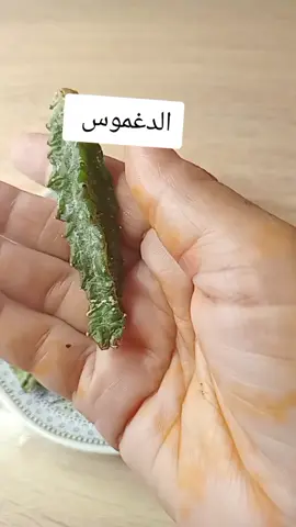 فوائد الذغموس للكيس #علاج_طبيعي #viral #وصفات_سهله #وصفات_طبيعية #الدغموس_علاج_تكيس_المبيض 