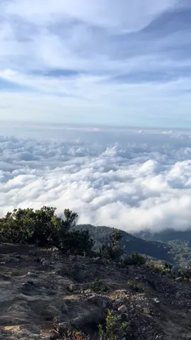 Ciremai full cerah😍 #gunungciremai #gunungciremai3078mdpl #ciremai #ciremai3078mdpl #gunungindonesia #pendakigunung 
