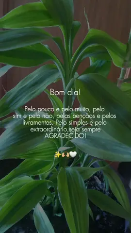 #CapCut bom dia te agradeço Senhor pelo dia de hoje que ele seja abençoado #bomdiacomdeus #extraordinario #bondade @Gislaine Andretta2🍂🍁 @Gislaine Andretta2🍂🍁 