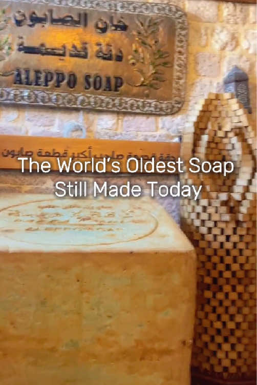 The World’s Oldest Soap Still Made Today #AleppoSoap #AncientTraditions #NaturalLiving #HistoryFacts #Craftsmanship    