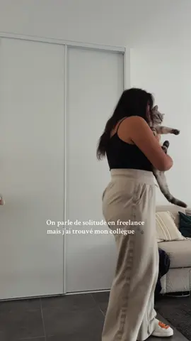 Avouez, vos « collègues » freelances sont aussi vos animaux ? 😹 #freelancerlife #freelancefrance #contentcreator #creatriceugc #communitymanager 