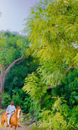 Wada bahi kaka jani #foryourpage #pliss #tiktok #verlavedio #kakajaniok1 