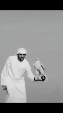 يا مبرقع الطير🔝🔝
