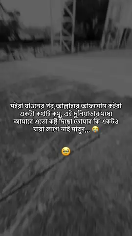 #মালায়সিয়া_প্রবাসী🇧🇩🇲🇾🌹🌹💖 #পিল্জ_একটা_শেয়ার_করুন🙏 #sapotme_firend🙏🖤🥀💯🥀🥀🥀🥰🥰🥰💞💞💞💔  @ashik_xy 🎯 