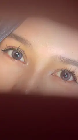 ikut deh
