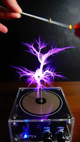 I collect lightning #teslacoil #idea #DIY #amazing #experiment   