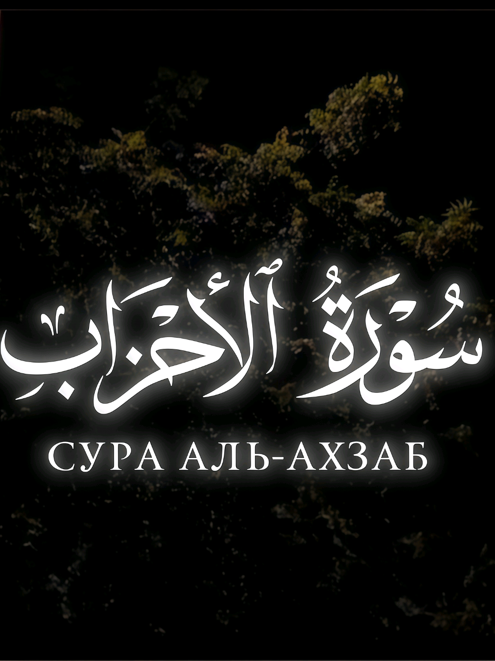 Сура: Аль-Ахзаб (33) Аят: 66 Чтец: Мухаммад Аль Люхайдан Тгк: голос ушедших 