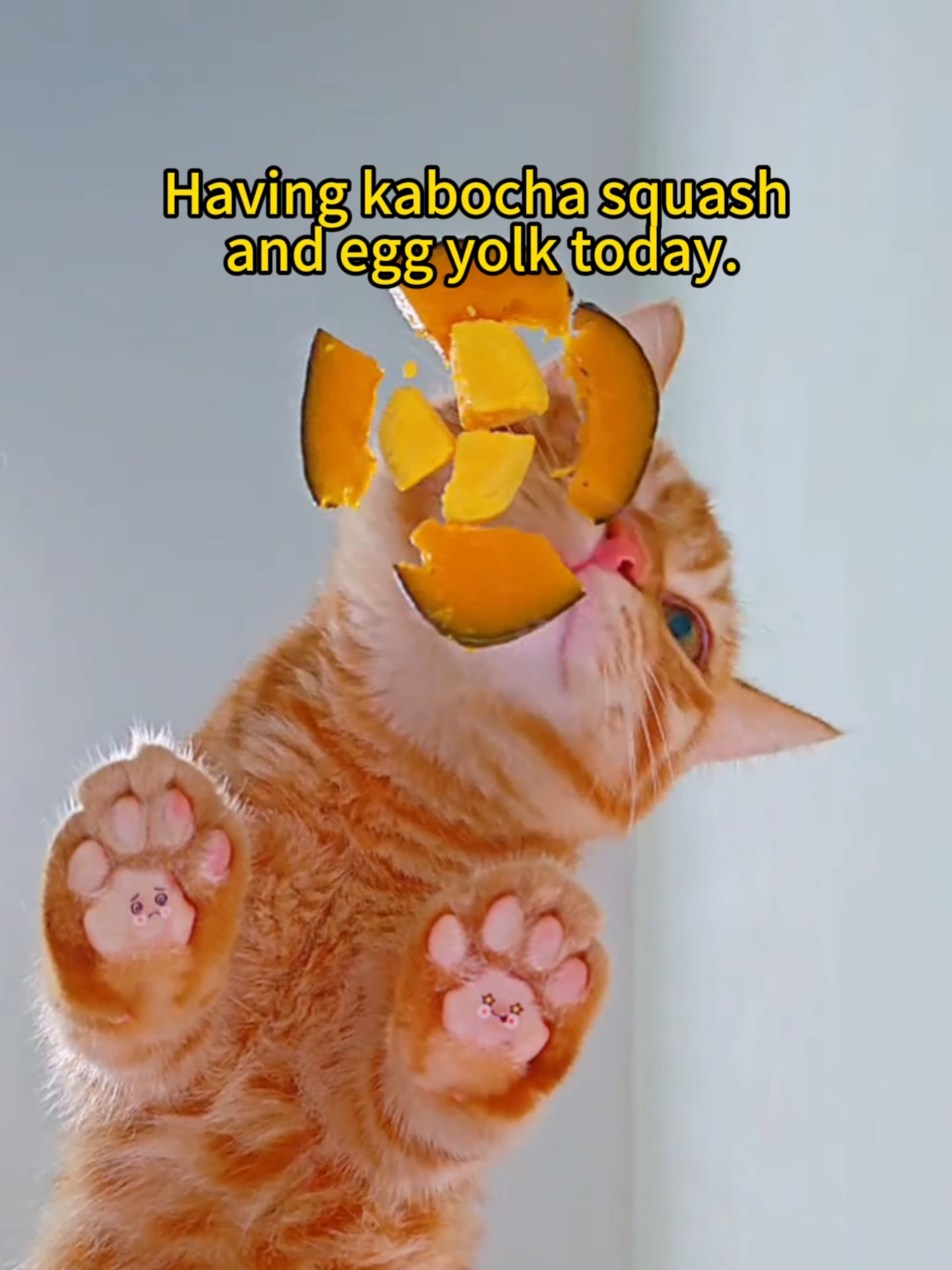 Ultimate Cat Crunch ASMR (Try Not to Relax Challenge)#ASMR #kitten #CatMukbang #OddlySatisfying #fyp #catlover #SatisfyingVideo