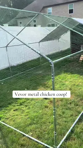 Chickens seem to be happier with more space! #chicken #chickencoop 