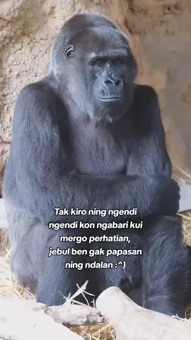 #fypp tak kiro perhatian😪#katakata #sindiran #bojonewong #puitekchanel 