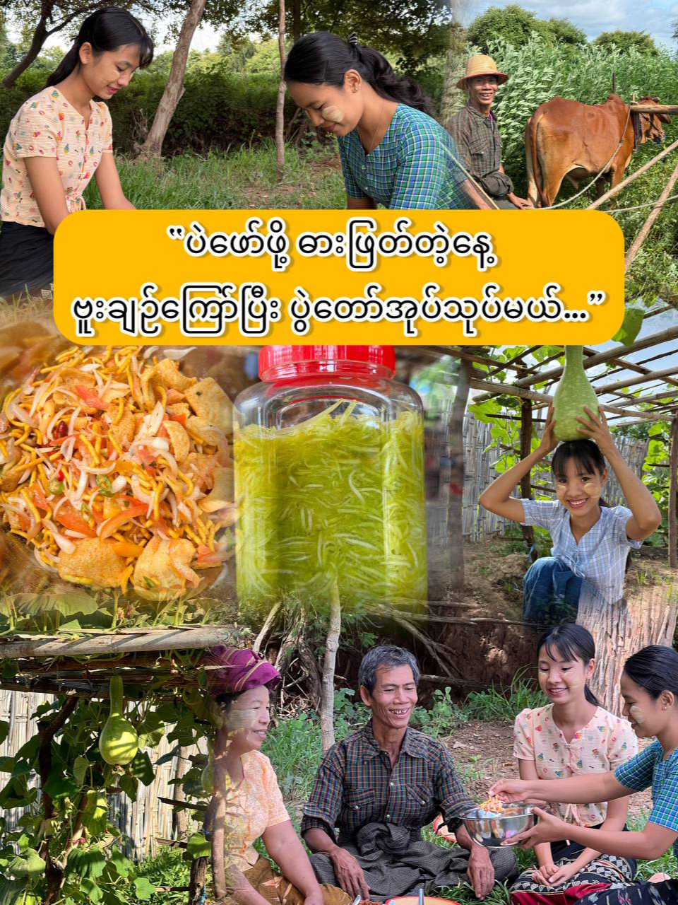 “မြေပဲဖော်ဖို့ ဓားဖြတ်ရတဲ့နေ့…. နေ့လယ်စာအတွက် အိမ်လုပ် ဗူးချဉ်လေးကြော်ပြီး  ပွဲတော်အုပ်လေးသုပ်ပါမယ်….” Pwint Phyu #pwintphyu #ပွင့်ဖြူပွဲတော်အုပ်အစုံကြော် #ပွင့်ဖြူဆီသန့်မြေပဲကြော် #ယာတောသူ