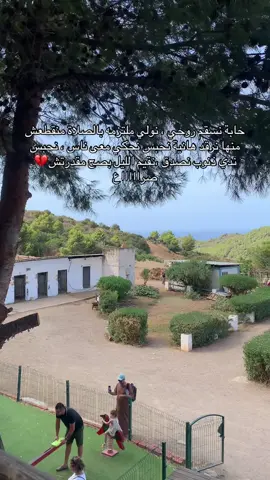 #creatorsearchinsights #algerie🇩🇿 #ترند_تيك_توك #fypツ 