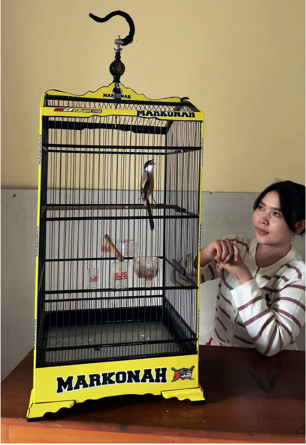 Ndak fyp prei manuk  #storikicaumania #cendetmanianusantara #kicaumaniaindonesia #fyp 