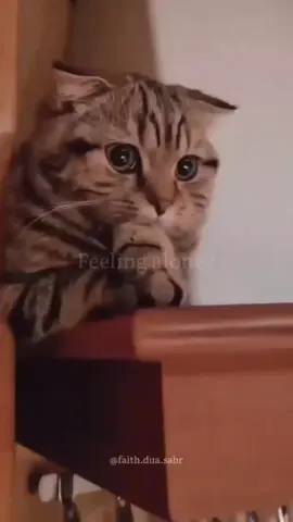 محظورة حبايبي  ممكن كلمه نكليزية وحركه الاكسبلور حبايبي 🥺😔💔🥀