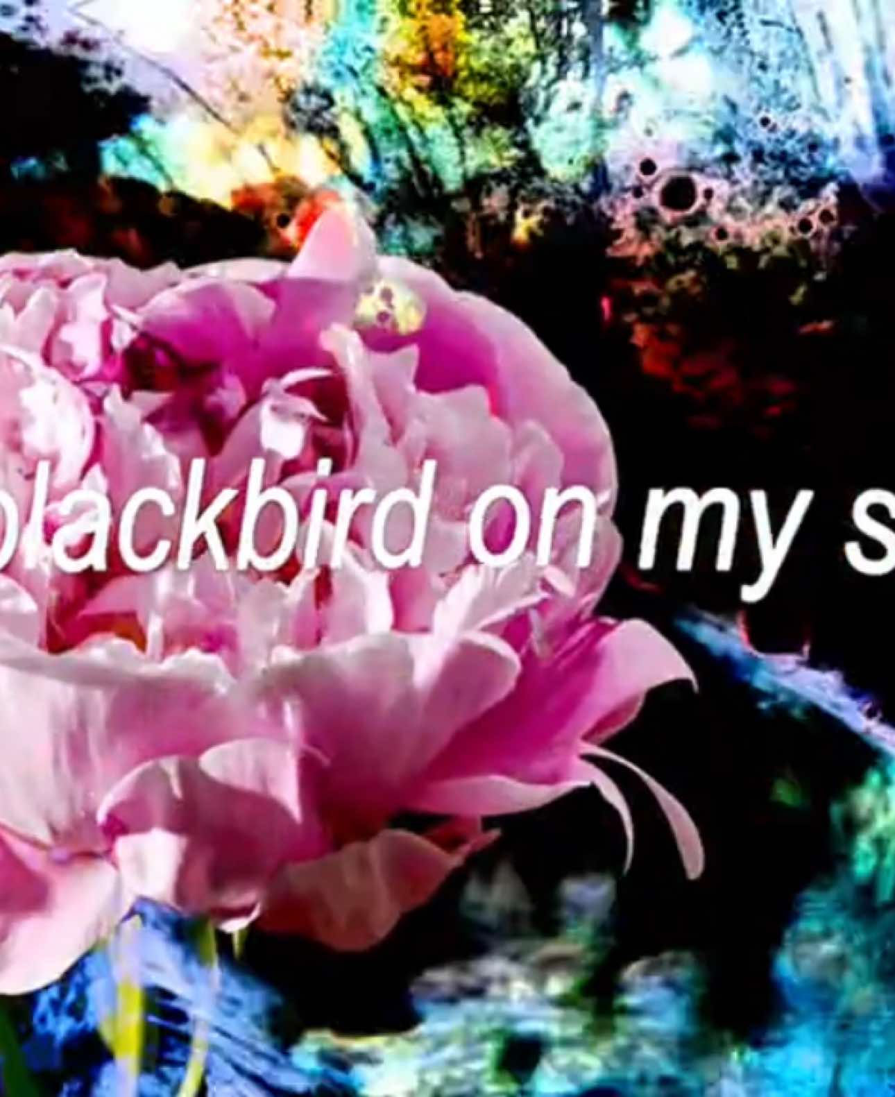 #mysteryoflove #sufjanstevens #lyrics #edit #targetaudience 