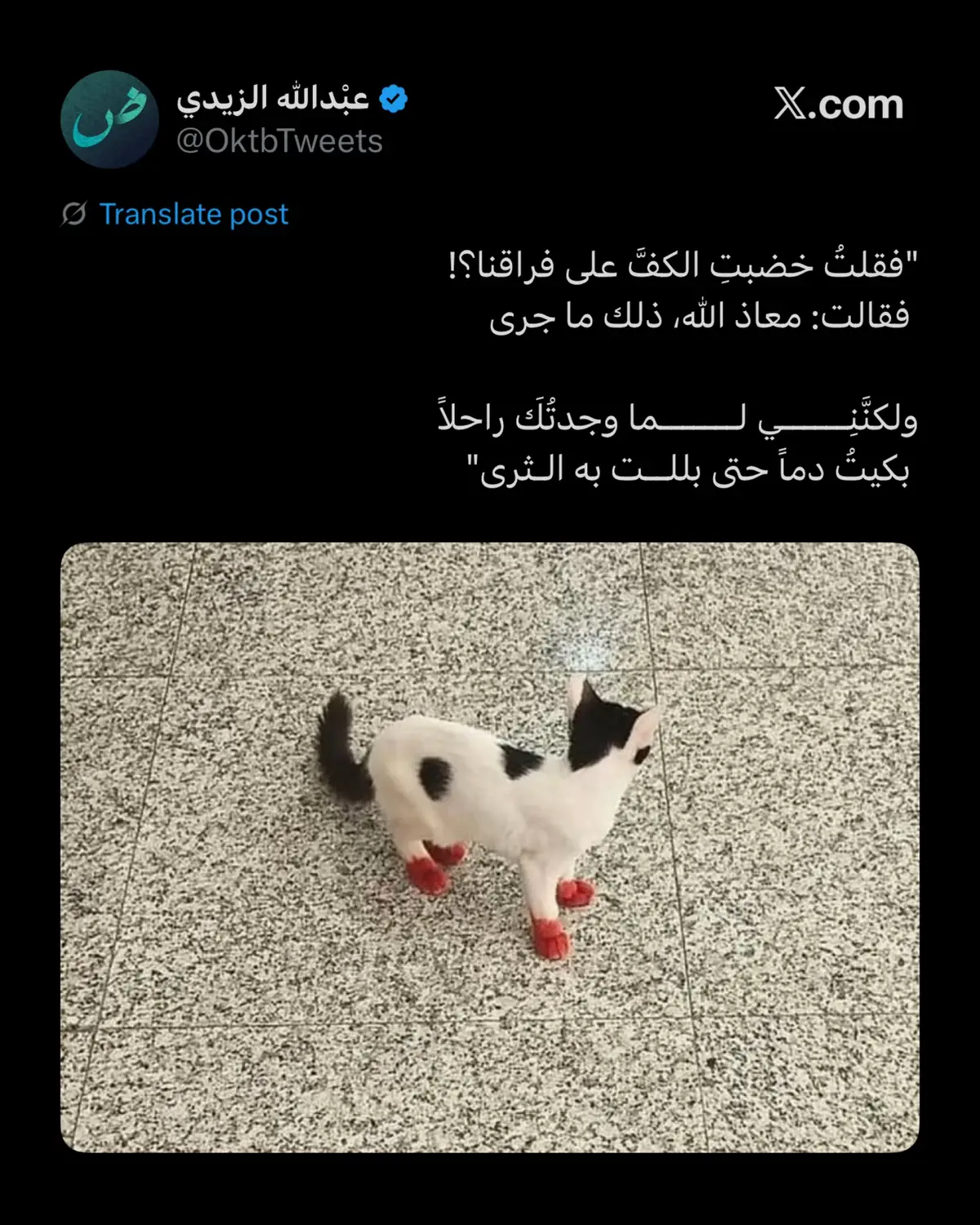#شعر #فصحى #قيس_بن_الملوح 