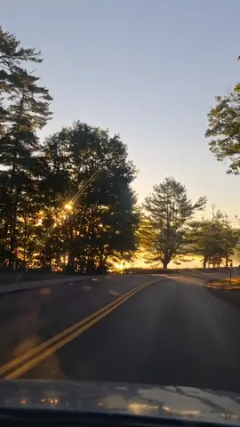 Good morning, Happy Friday 