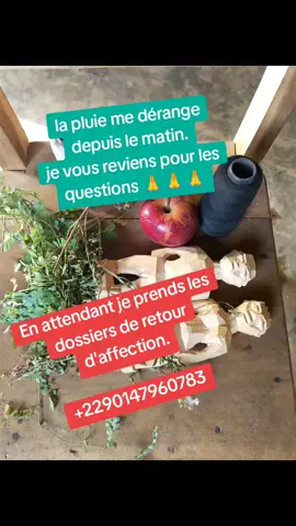 Retour d'affection 🙏