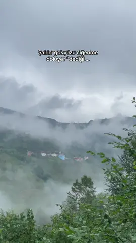 Karadeniz’im sisli bulutlu @Merve Yavuz #keşfet #karadenizli #yeşil #ordu 