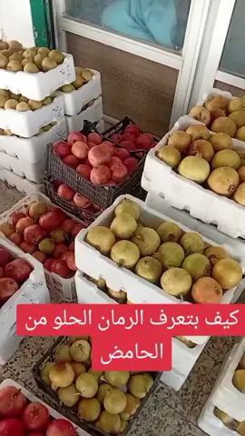 رمان 