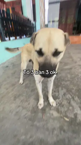 #xhuong #abcxyz 
