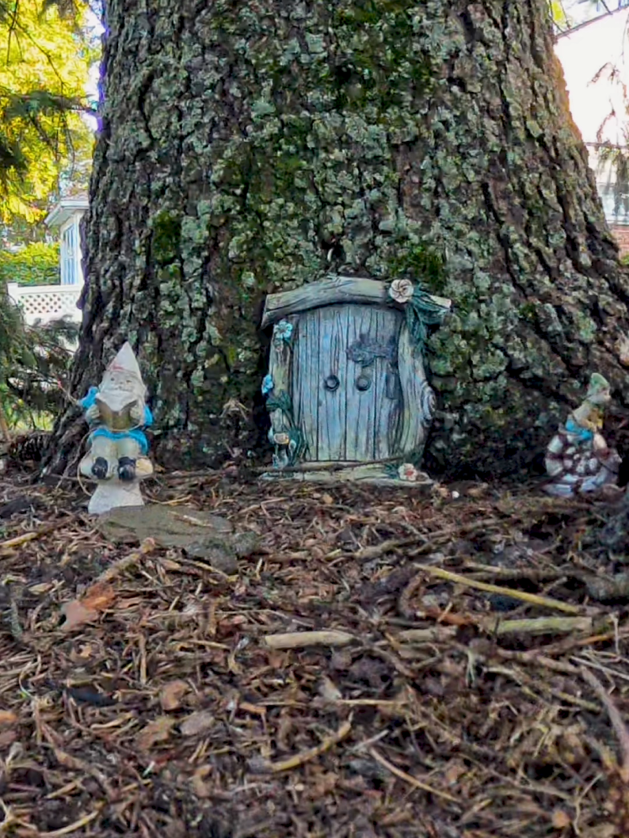 micro FPV tinywhoop vs fairy garden🧚‍♂️ #fpvdrone #drone #betafpv #fairygarden