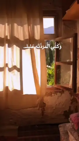 وكلبي المردته عليك😔.. #تراث #التراث_الحسيني #ياسين_الرميثي #fyp 