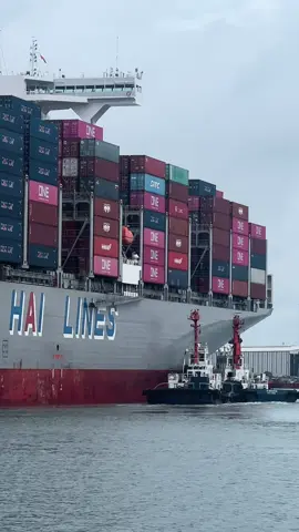 Tàu lai hỗ trợ WANHAI A06 quay đầu rời cảng TCIT #xuhuong #xuhuongtiktok 