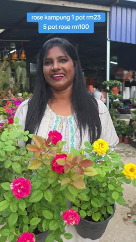#rosekampung #fyp #flower #ffsnursery #seremban ...