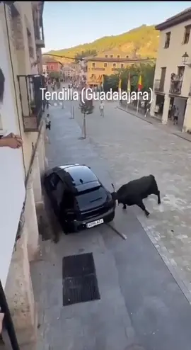 Нихрена себе…