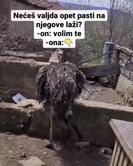 #balkan 