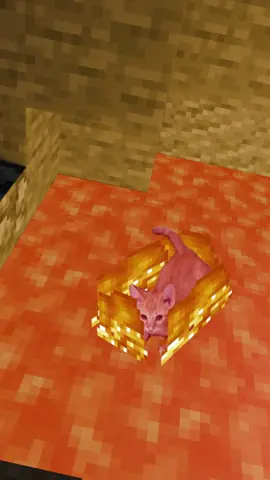 part 3 | #Minecraft #cat #memestiktok #fy