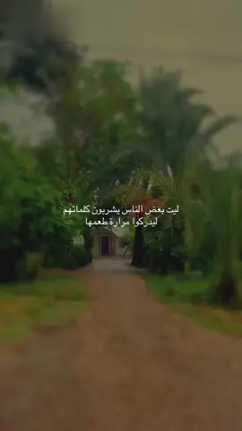 ليت بعض الناس يشربون كلماتهم ليدركوا مرارة طعمها
