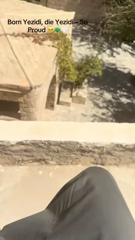 #lalish #yzidixan🦚 #lalish_tempel #معبد_لالش_المقدس #fyp 
