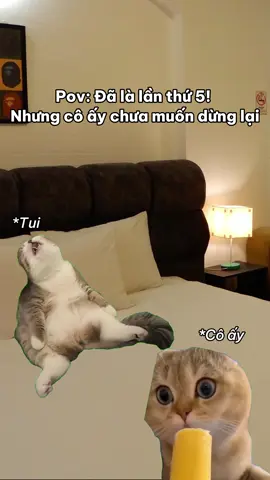 Trung bình couple hiện nay #fyp #HenHoSaiGon #ChillStaySaiGon #qhomestaycation #viral 