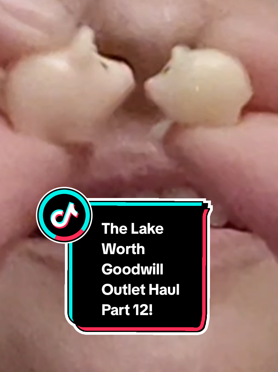 part 12!!! I even said part 12 right before filming the opening, I was tired. but I actually think we saved the best for the last video up next. pokeballs. so many pokeballs. they're so cool! you'll see. how much do you think I paid? #thriftwithme #binshaul #thrift #creatorsearchinsights 