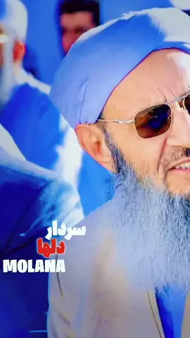 شیخ الاسلام 😍🫀#مولانا #شیخ 