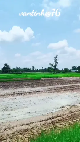 #capcut #nhachaymoingay #trending 