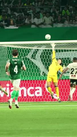 🫠 Com requintes de crueldade 🥺⚽️🐷 | @SE Palmeiras  #Palmeiras #Libertadores #GloriaEterna #Futebol #TikTokEsportes 