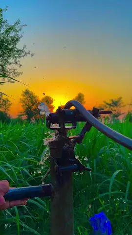#میرا_سہنا_پنڈ_لاکھو_کالم_ضلع_قصور♥️🍁🌴🌱😇 #shanimayo #shani_mayo1 