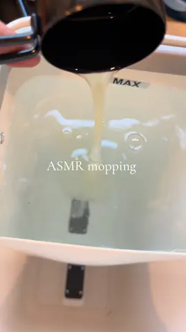 ASMR mopping with the joymoop mop #mopping #asmr #CleanTok #joymoop #clean 