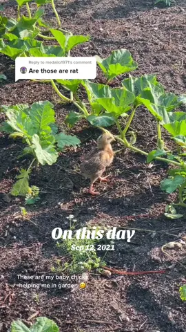 #onthisday 